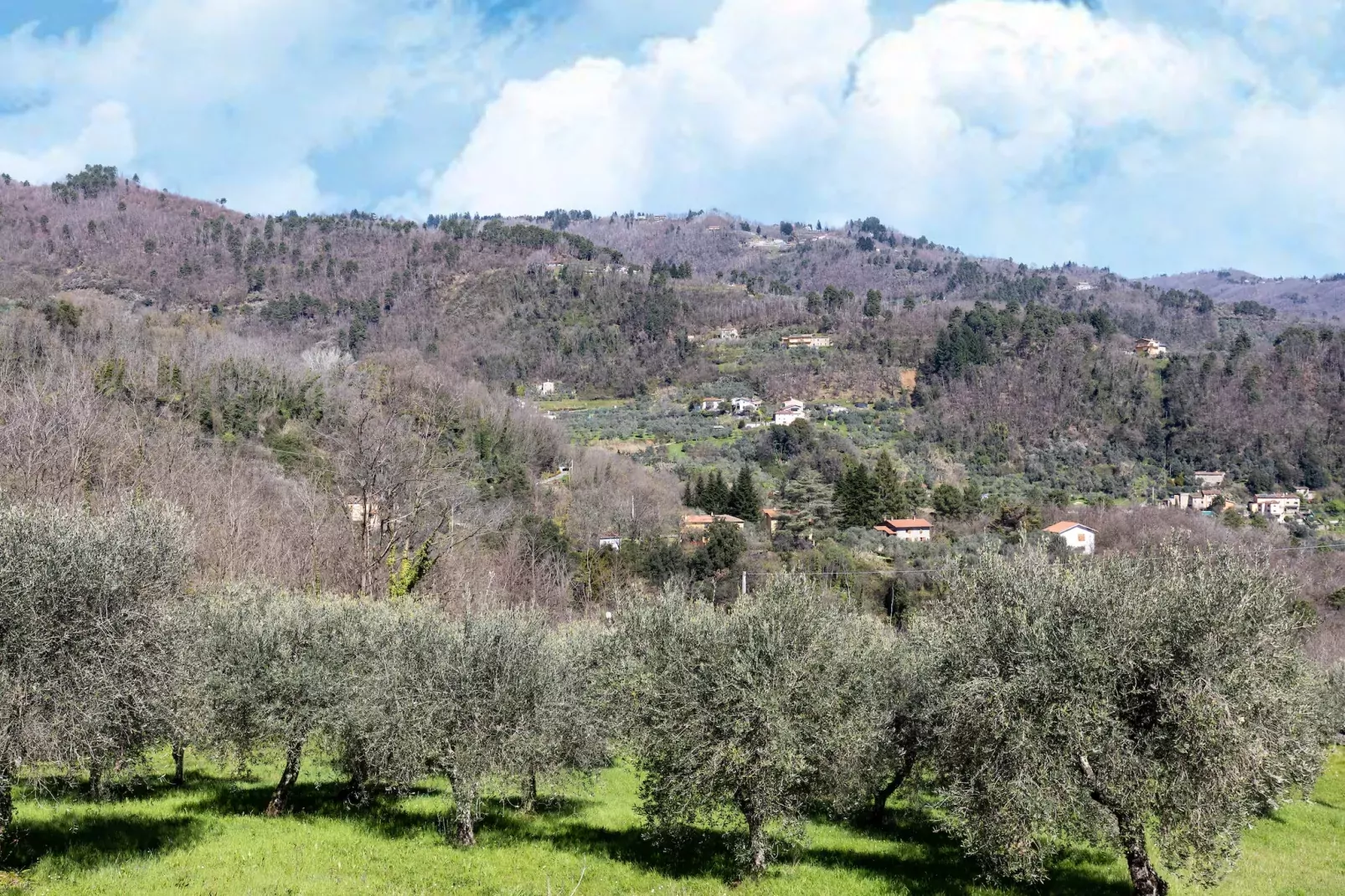 Casa di Lavanda-Gebieden zomer 1km