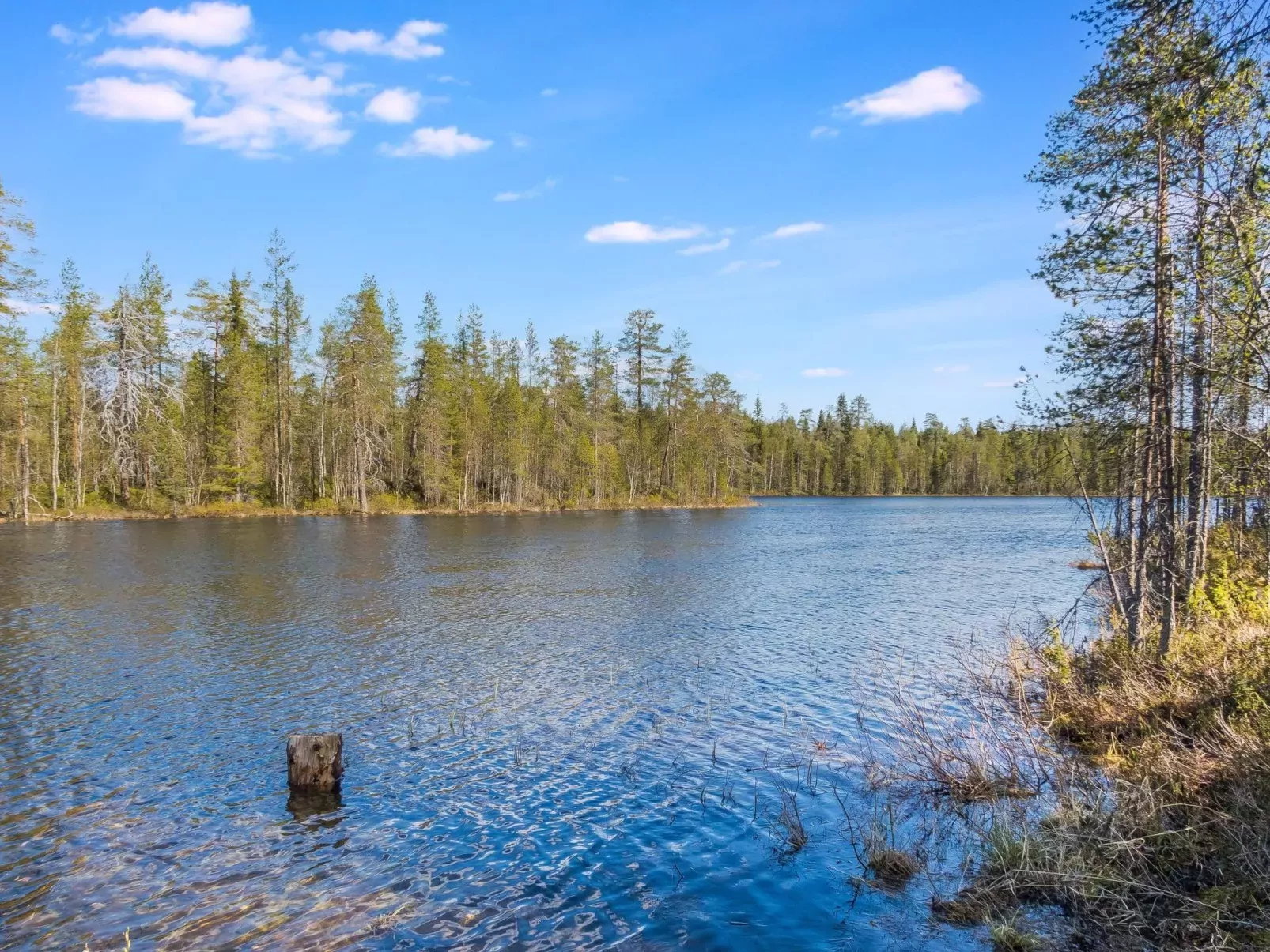 Kiehtäjän kuohu-Buiten