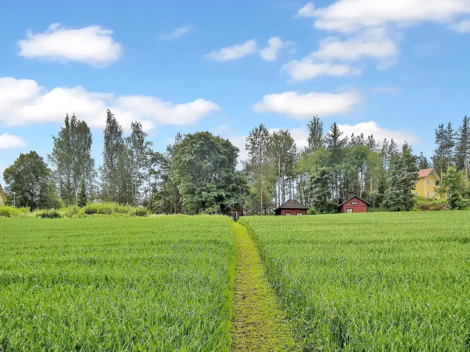 Pikkupehtoori-Buiten