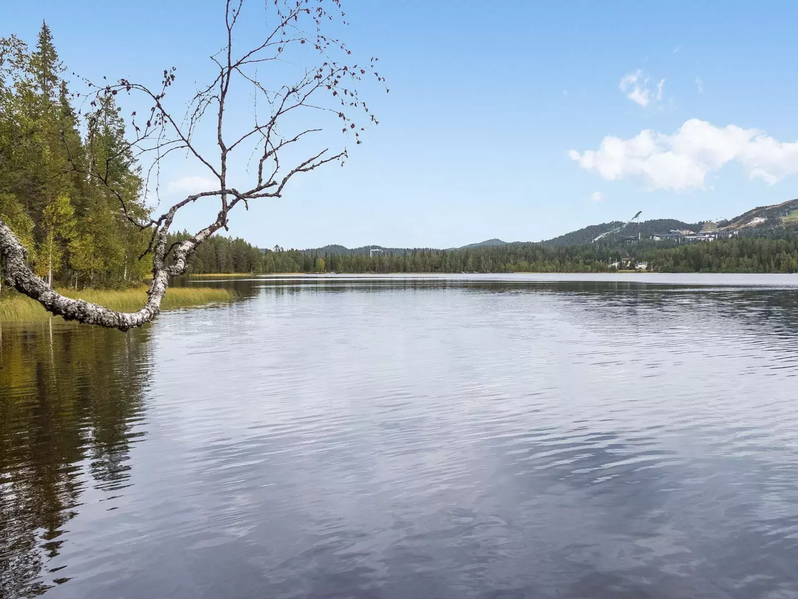 Rukatörmä, kesäjärvi-Binnen