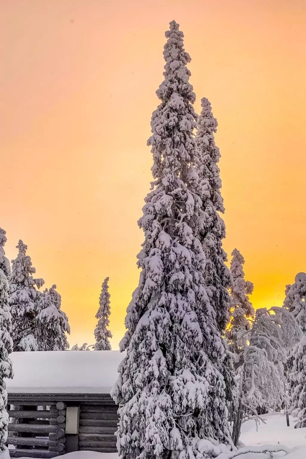 Alte ruka ansa-Buiten