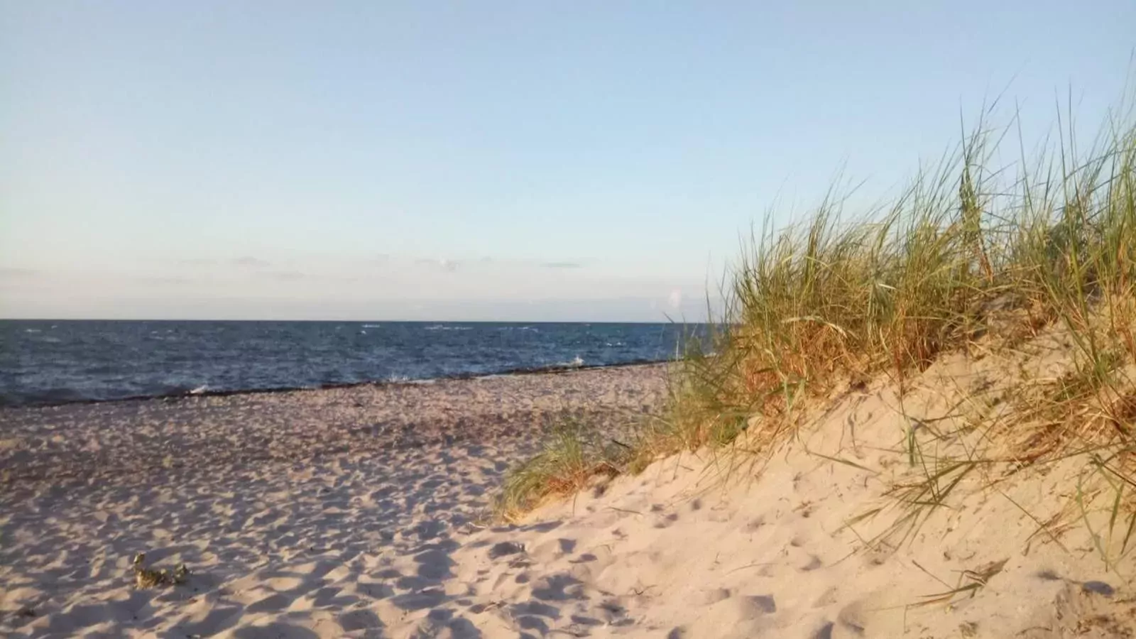 FeWo Schulzenhufe-Gebieden zomer 5km