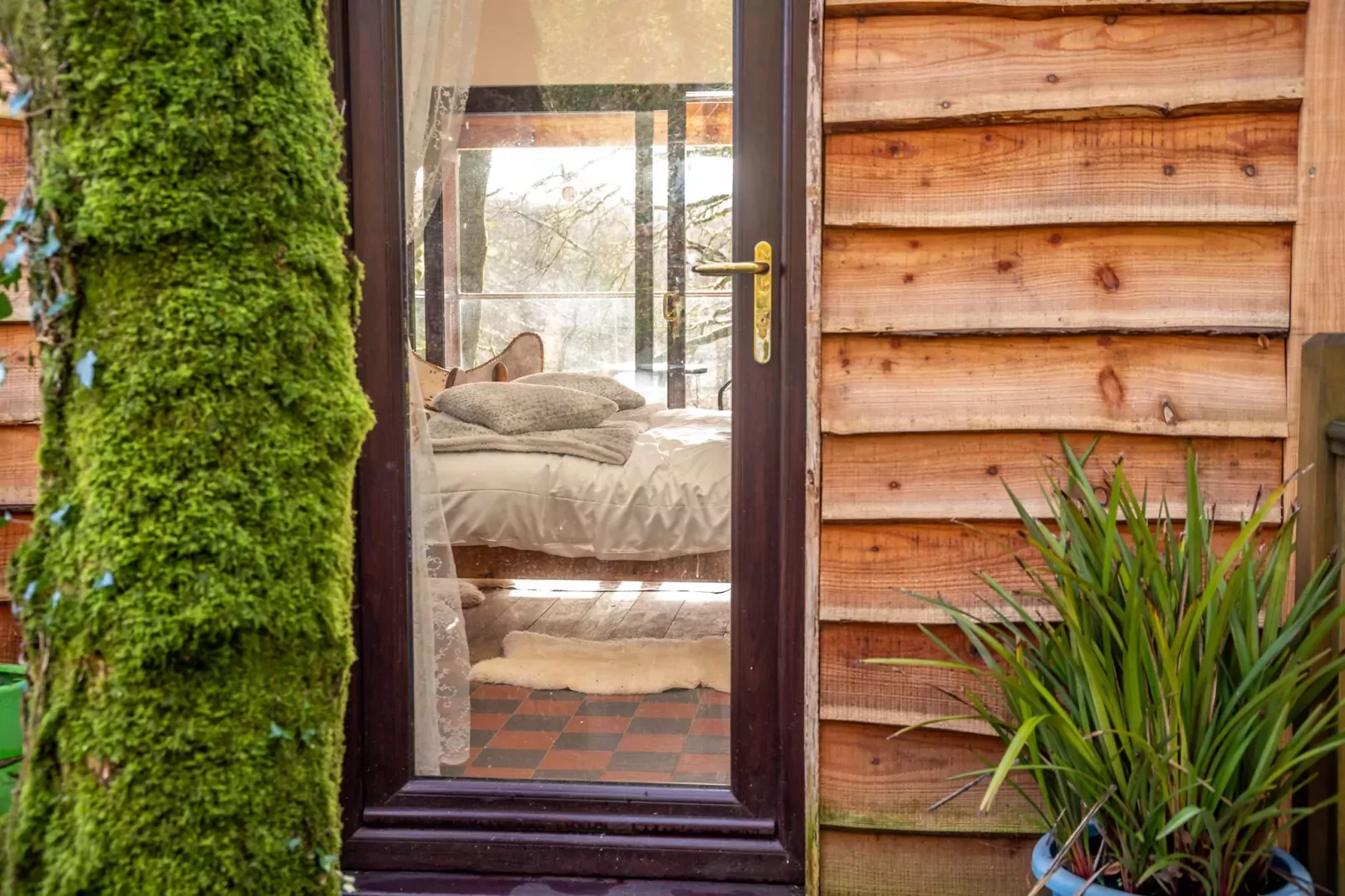 Yeworthy Eco-Treehouse-Buitenlucht