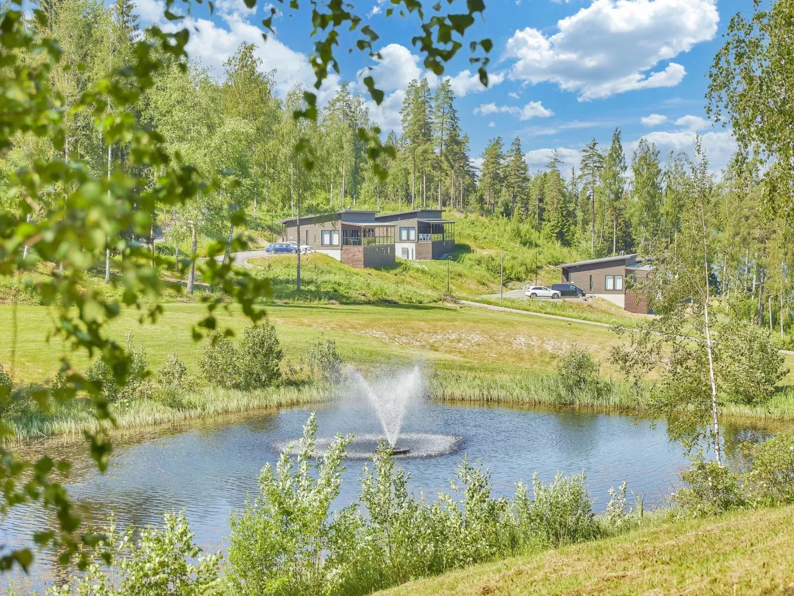 Villa koivu-Buiten