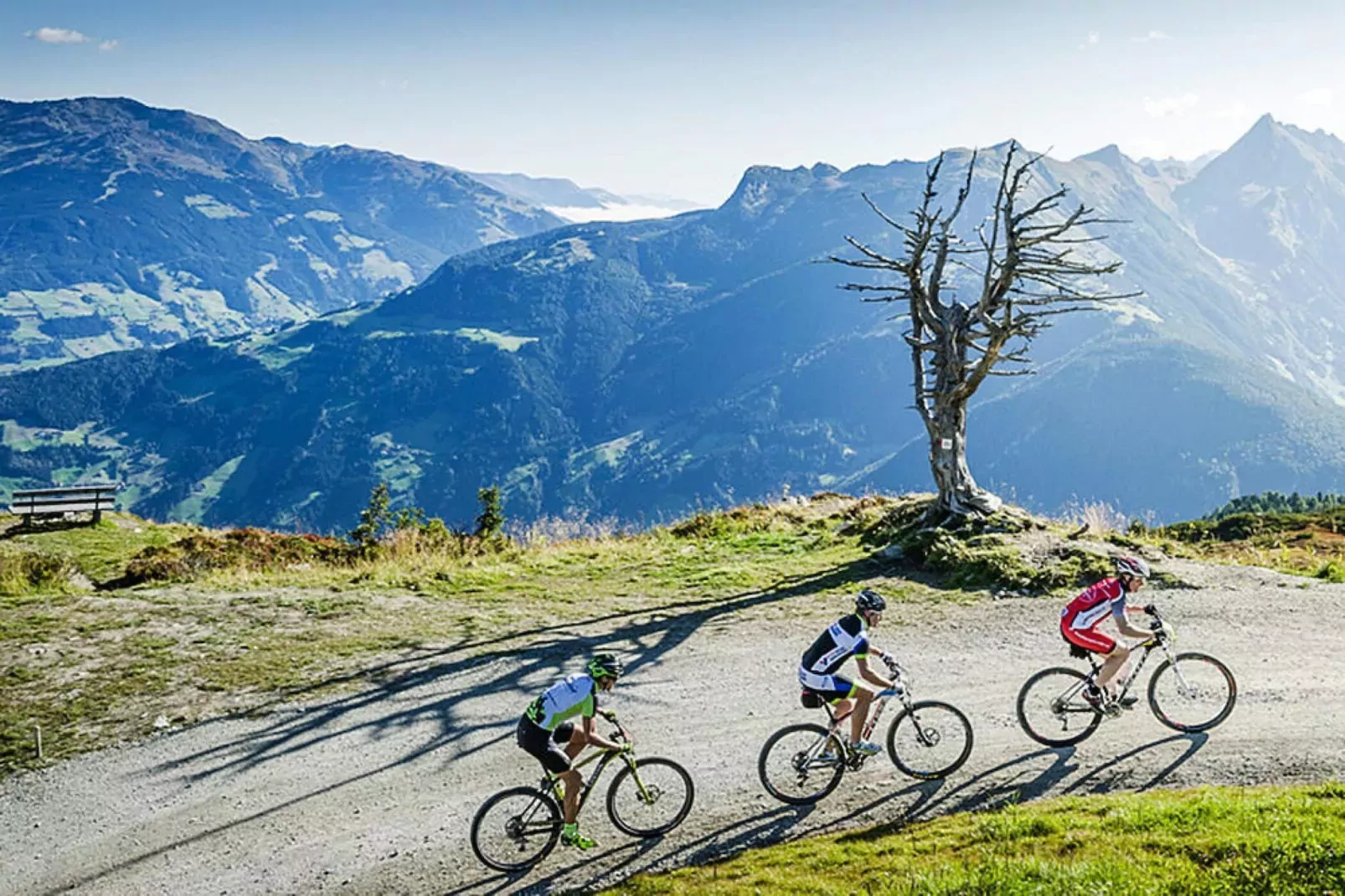 Haus Bergheim - 24 Personen-Gebieden zomer 5km