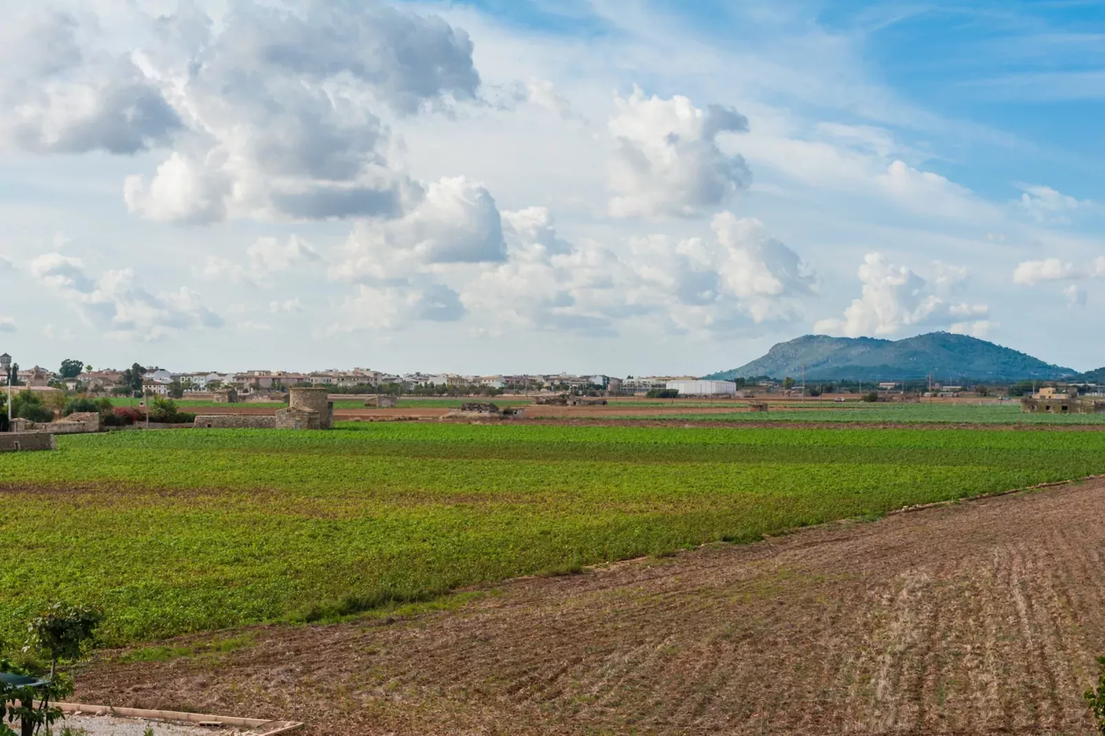 Can PuÇa (sa Pobla)-Image-tags.