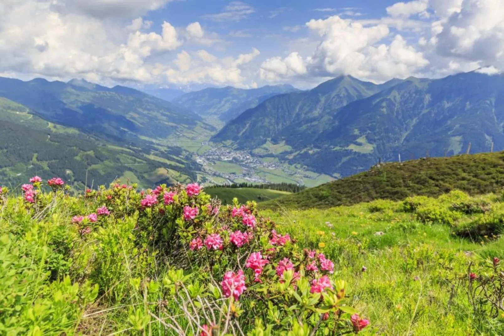 HB3CP Haus Bergblick-Gebieden zomer 20km