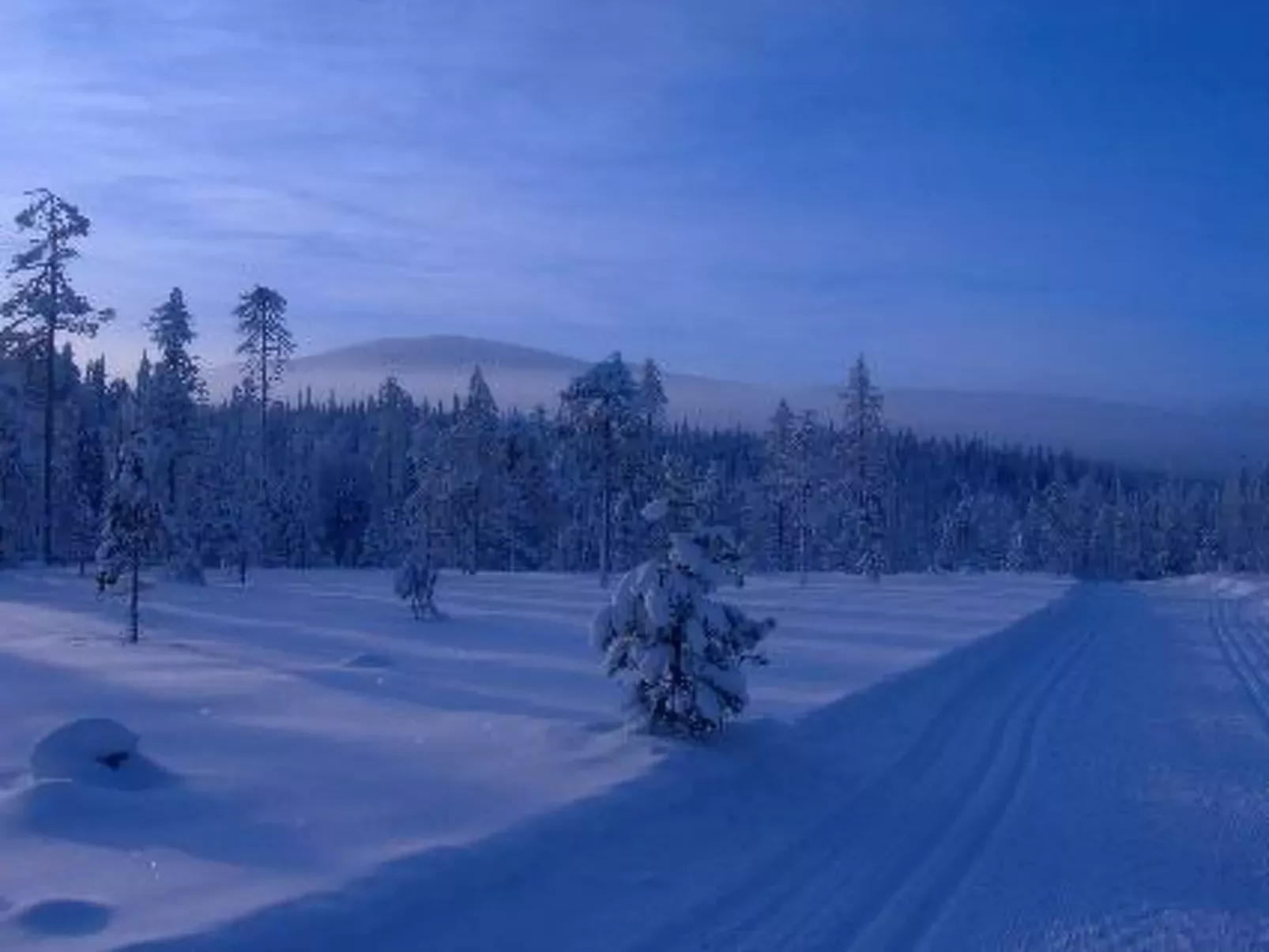 Yllästar 3 as 601-Buiten