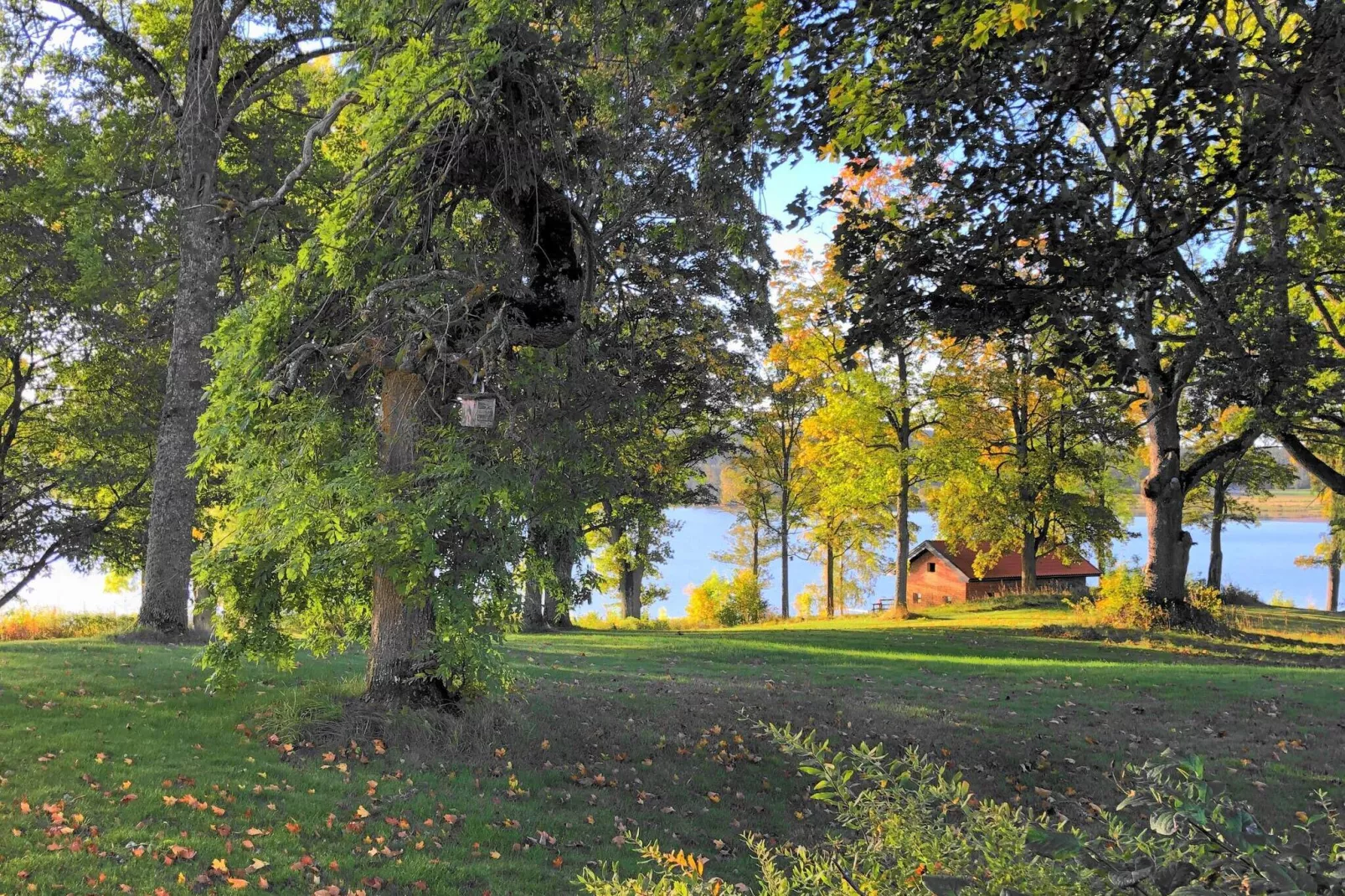 6 persoons vakantie huis in HOVA-Buitenlucht