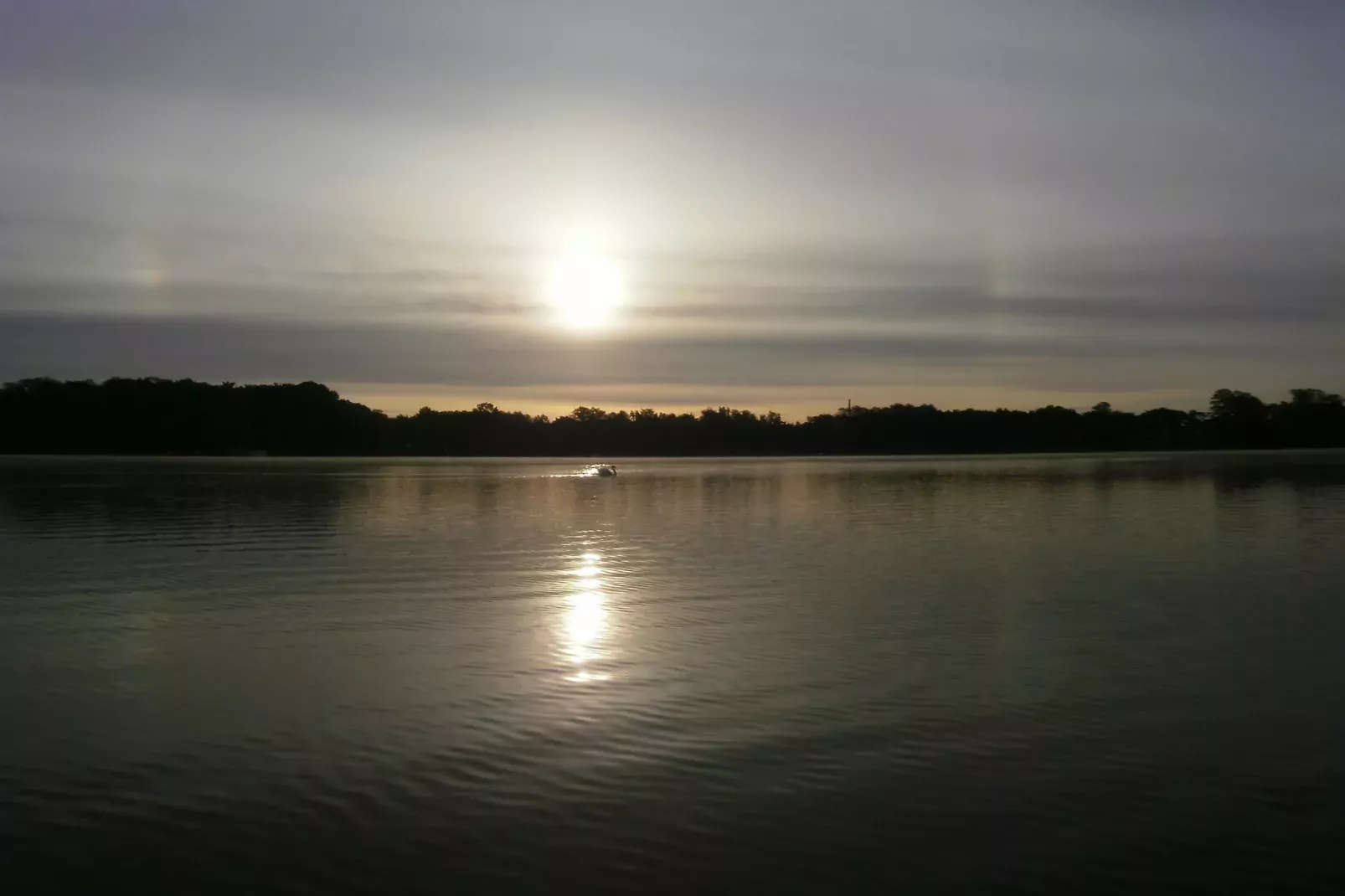Ferienhäuschen in Schwerin-Gebieden zomer 1km