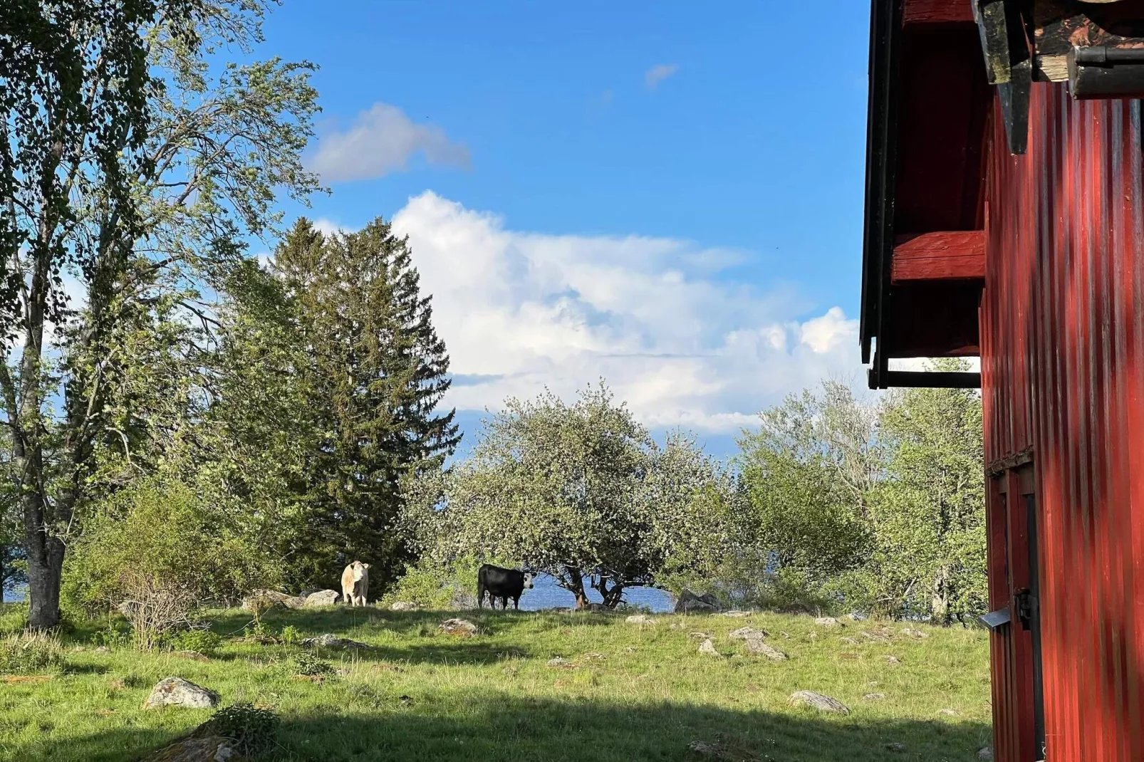 6 persoons vakantie huis in HOVA-By Traum-Niet-getagd