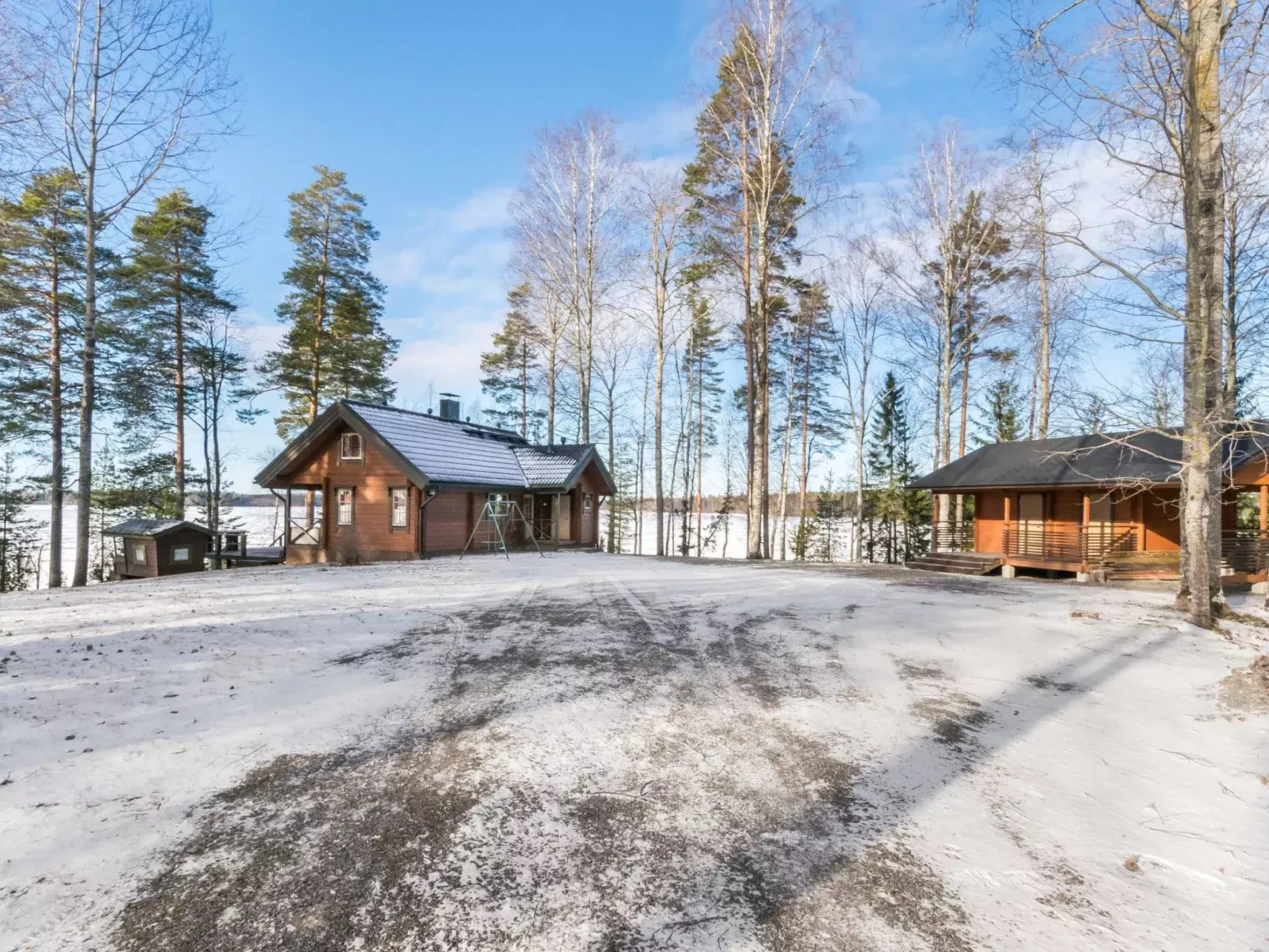 Puolen hehtaarin metsä-Buiten