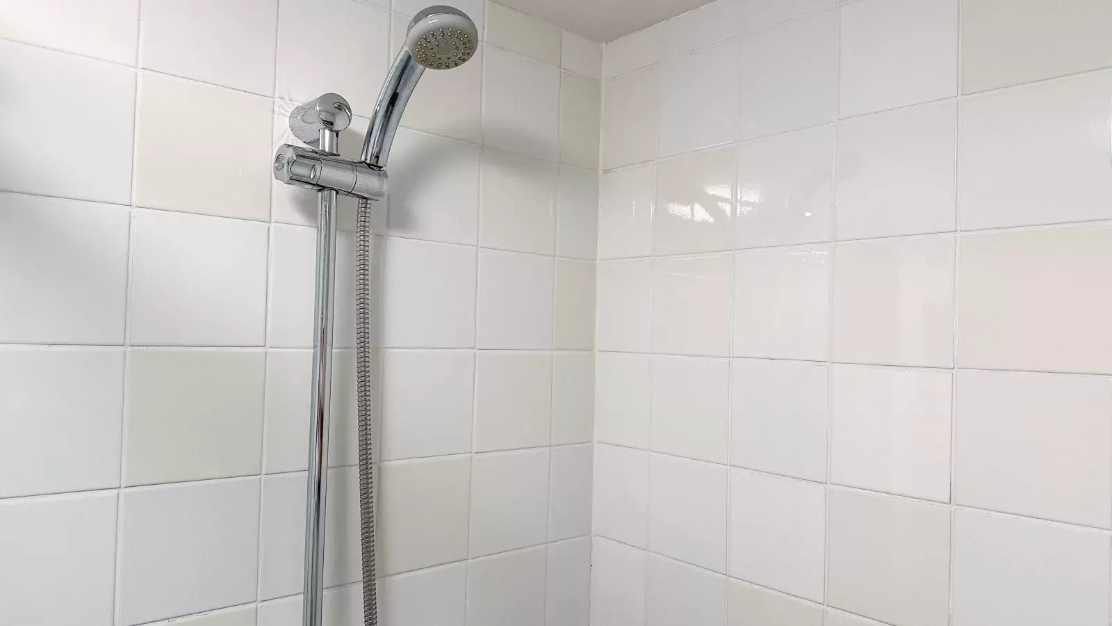 Biesboschhuisje-Badkamer
