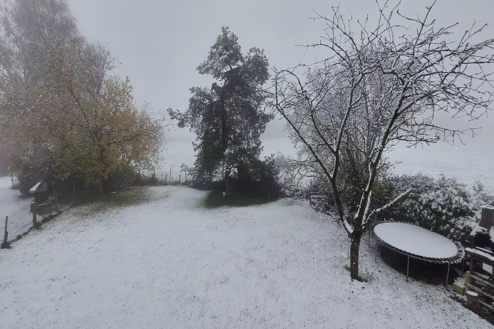 Ardennes Bleu 4 pers maximum-Tuin winter
