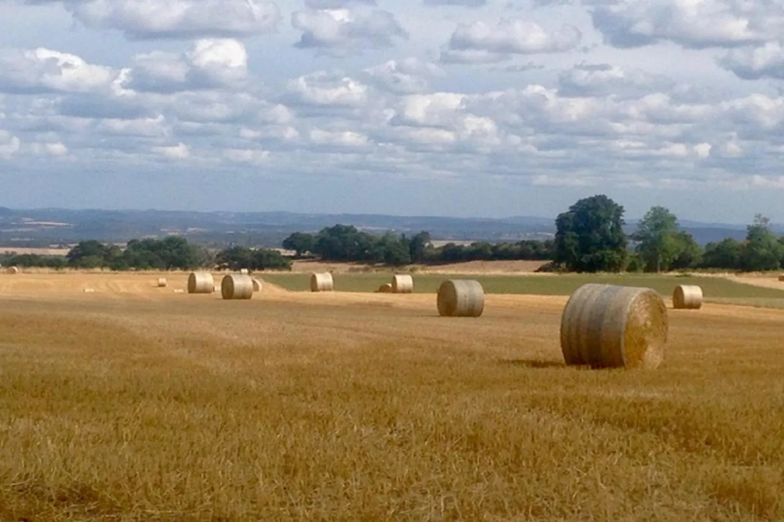 La Vieille Ferme-Uitzicht zomer