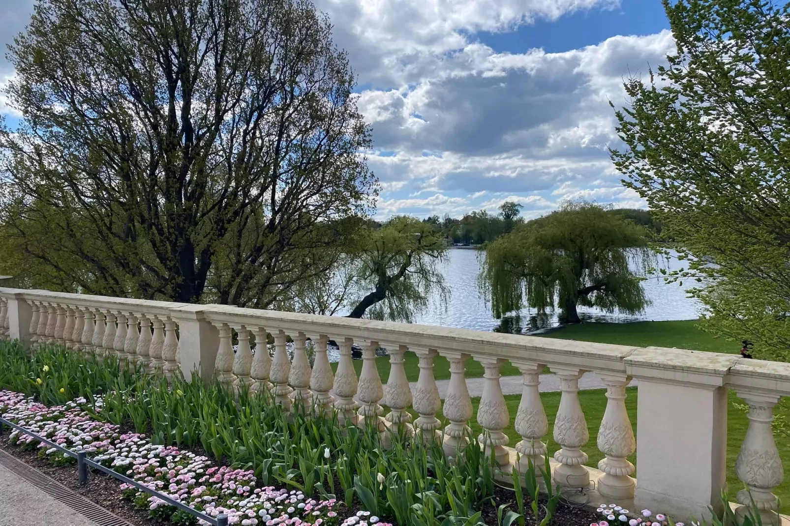 Residence Park am Schweriner See / Studio 40 qm-Gebieden zomer 5km