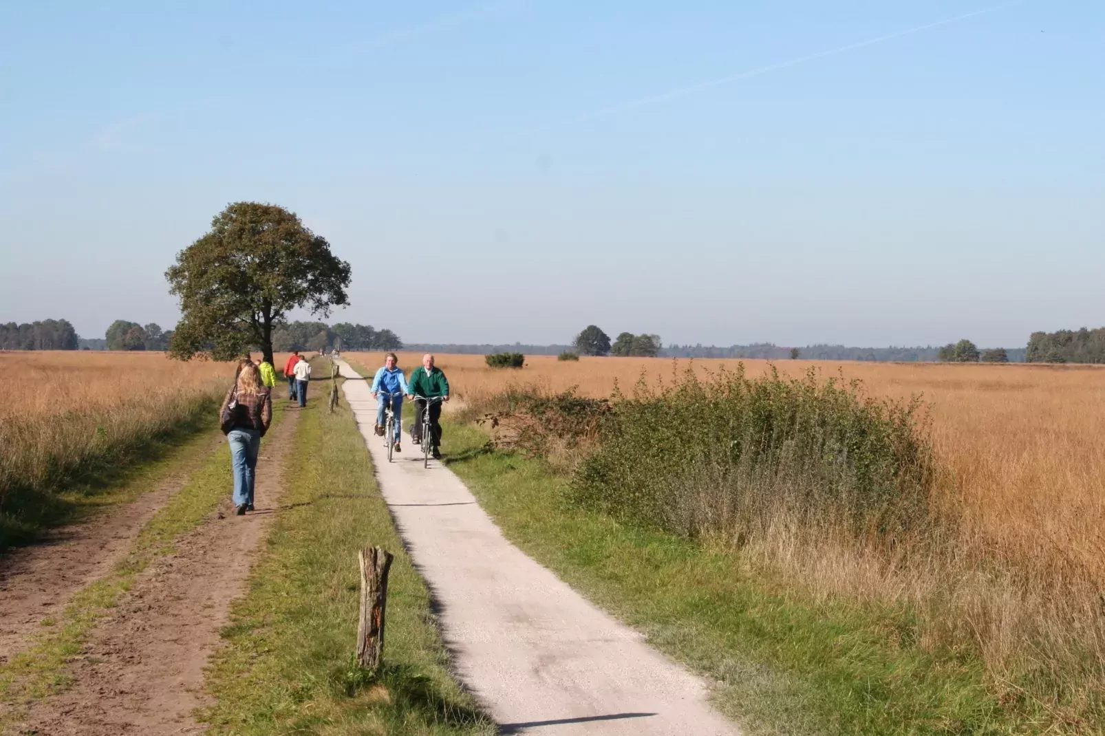 Marke van Ruinen 2-Gebieden zomer 5km