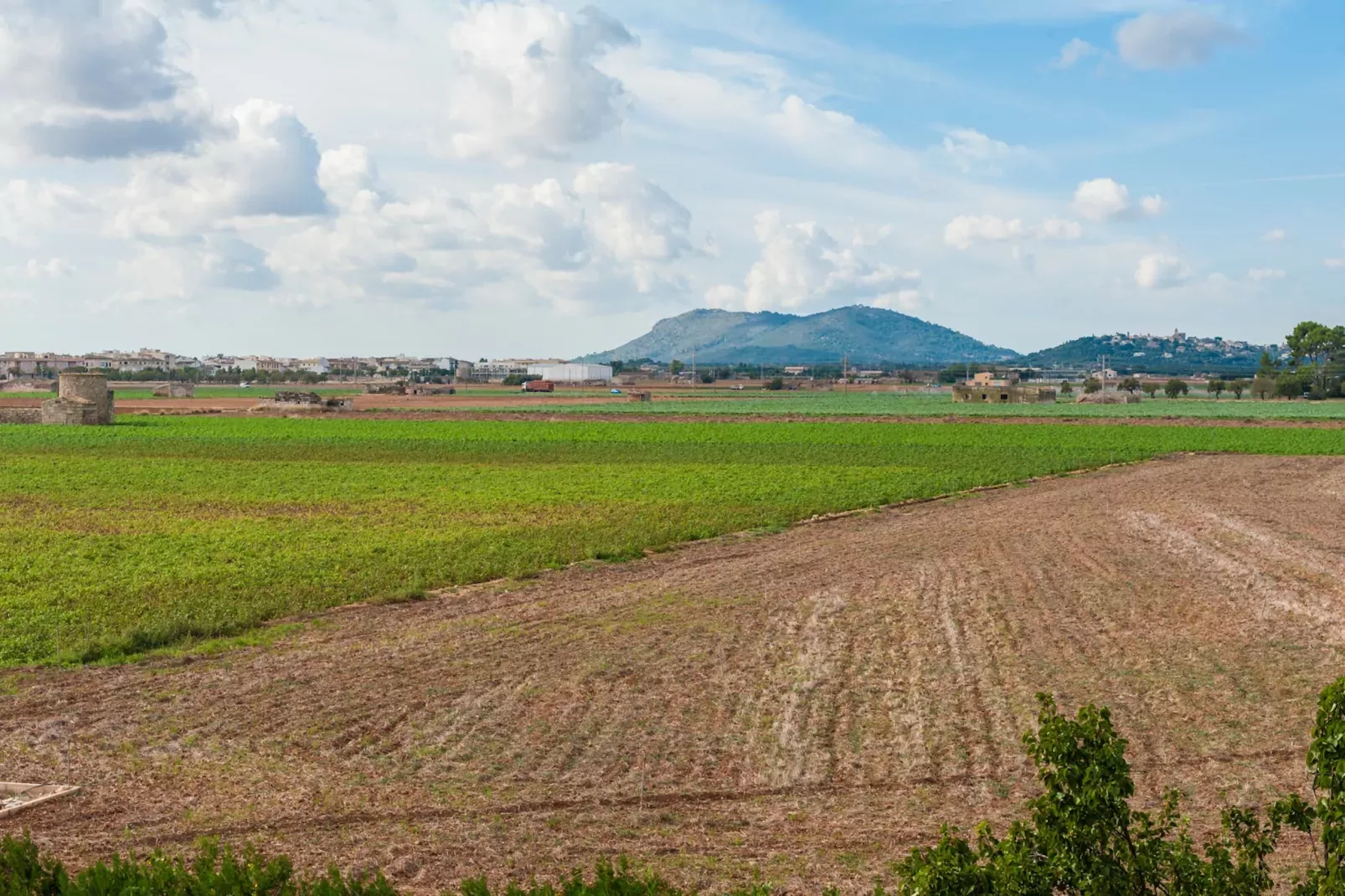 Can PuÇa (sa Pobla)-Image-tags.