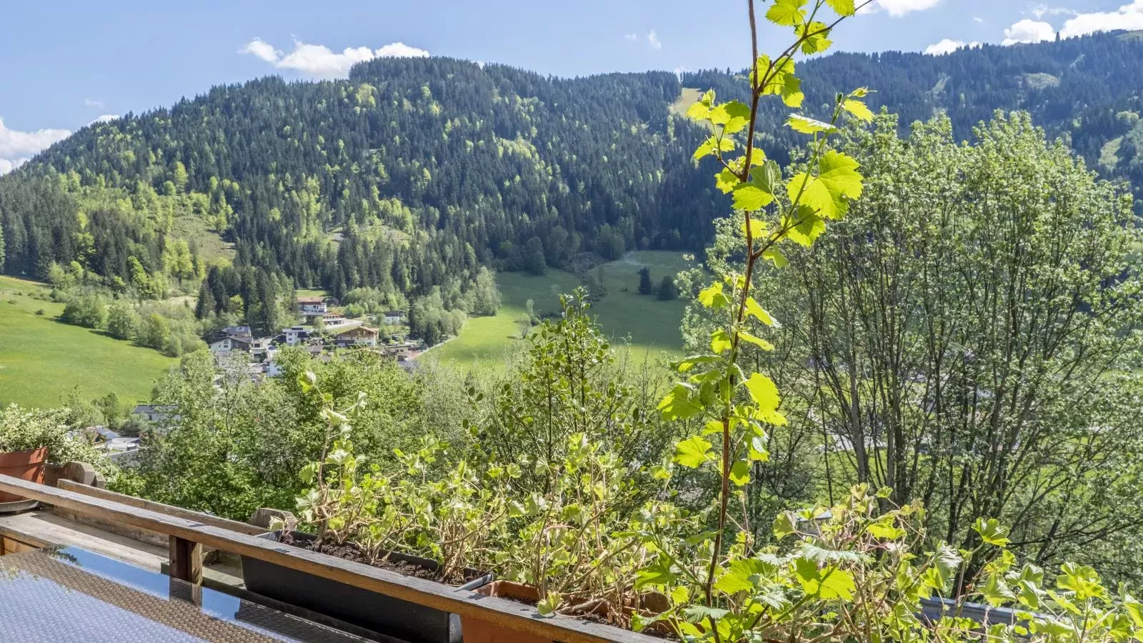 viewsummer
