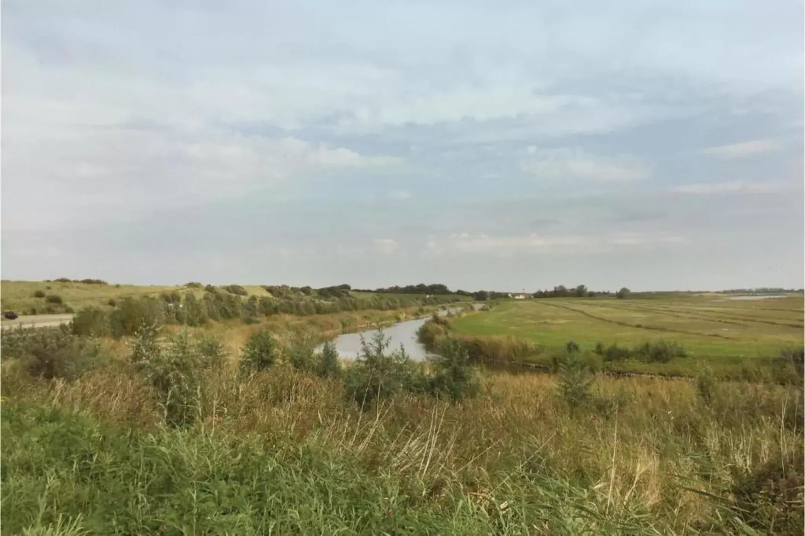 Het Platte Putje - Huisdier - nr 2-Gebieden zomer 20km