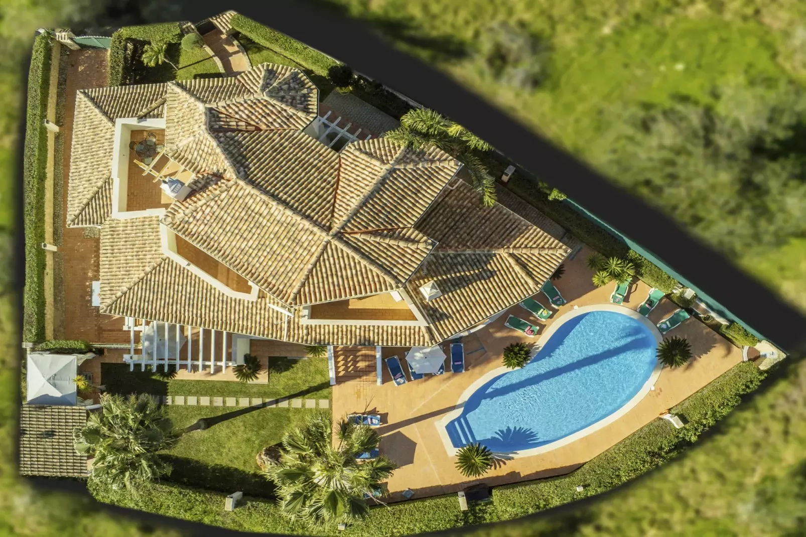 Villa Oliveira-Gebieden zomer 1km