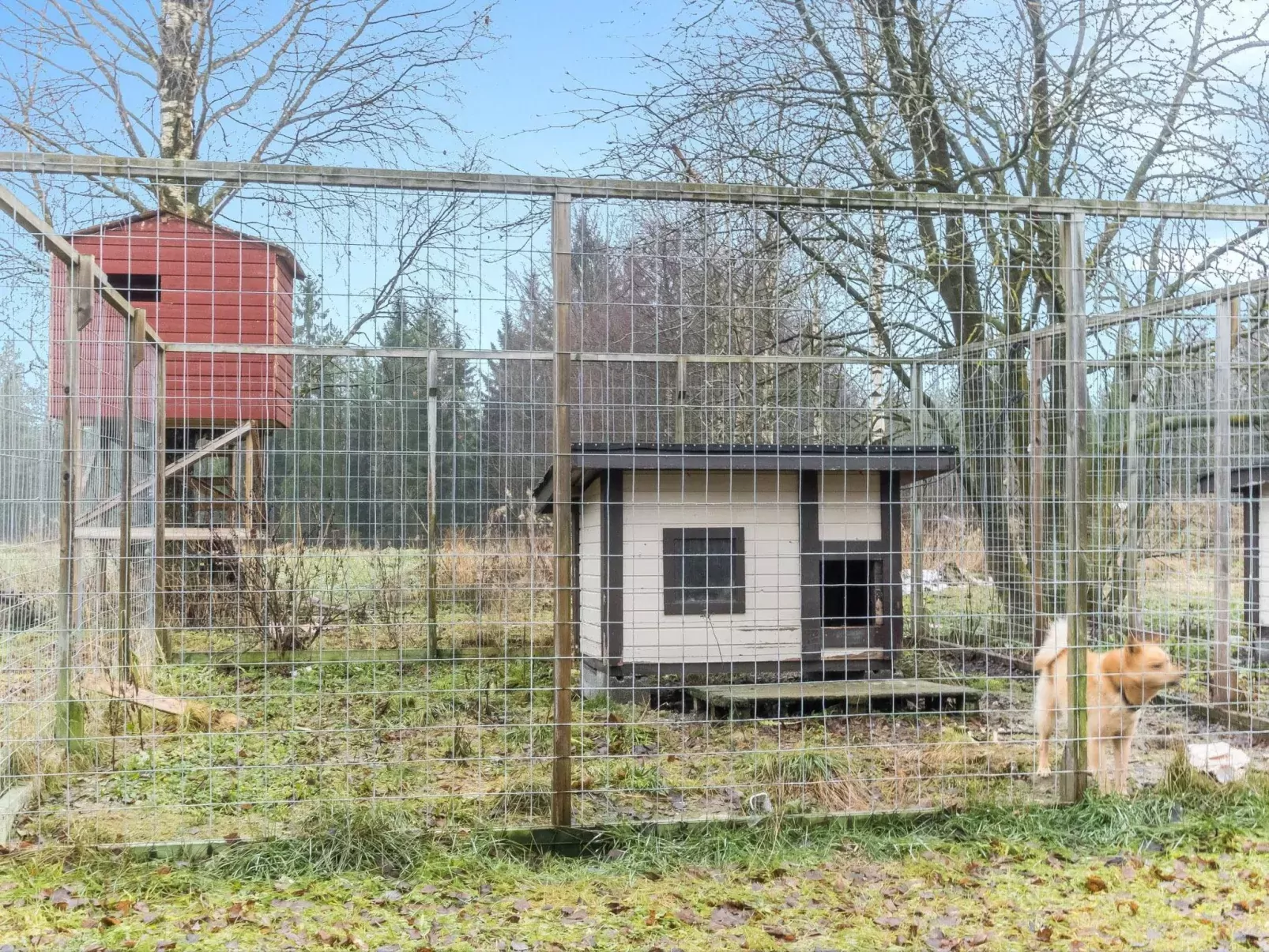 Backcountry base-Buiten