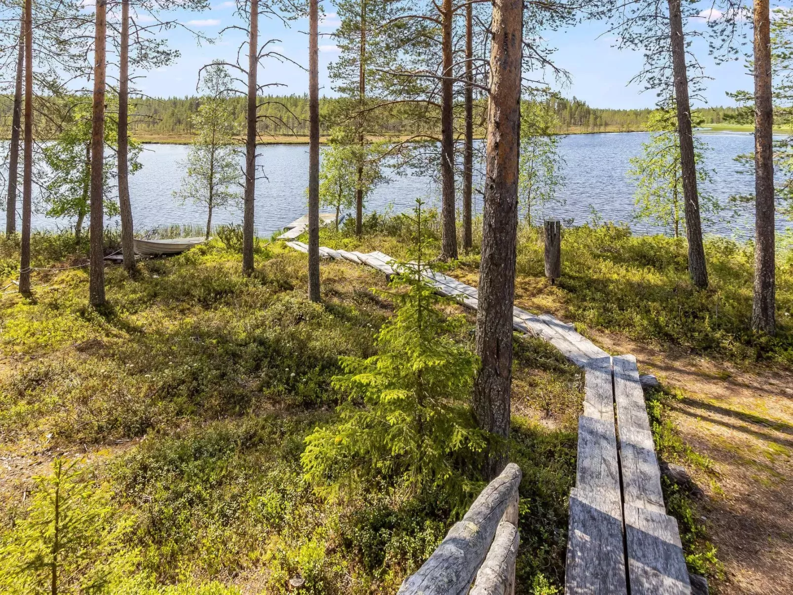 Villihanhi-Buiten