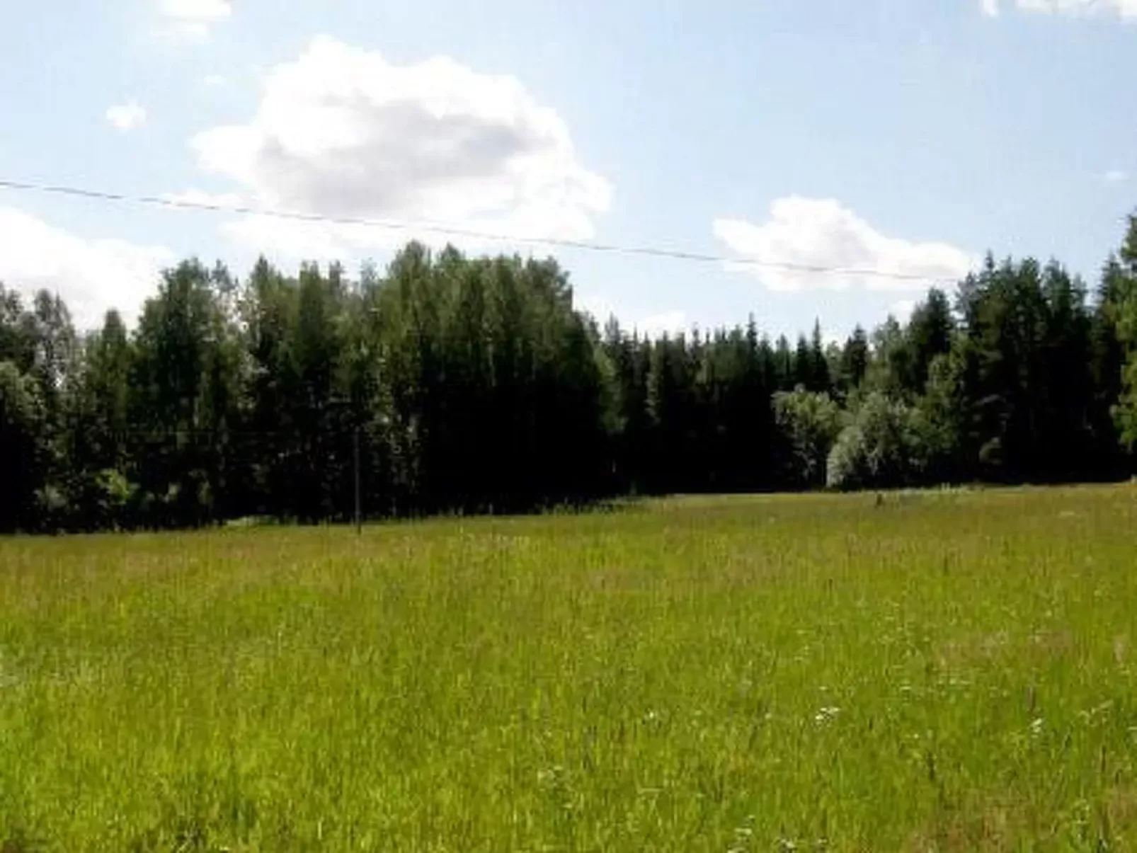 Lokki-Buiten