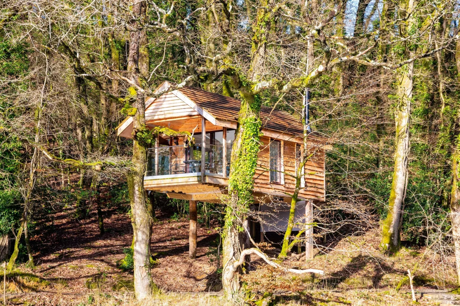 Yeworthy Eco-Treehouse-Buitenlucht