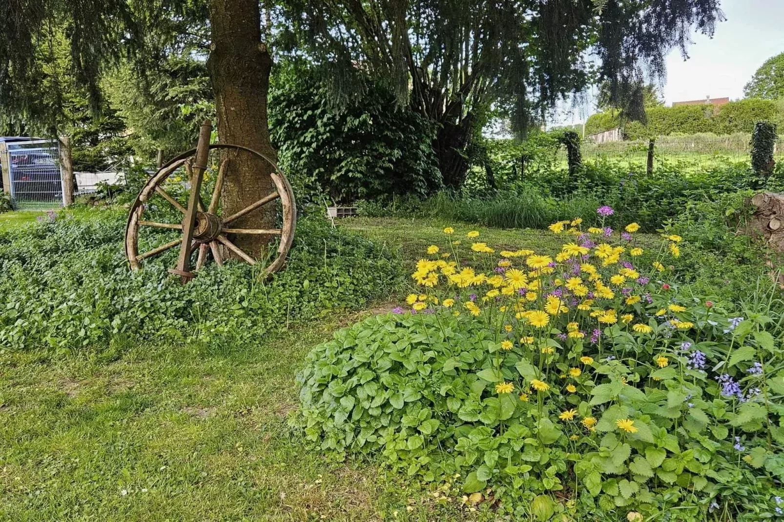 Gîte d'Artisan-Tuinen zomer