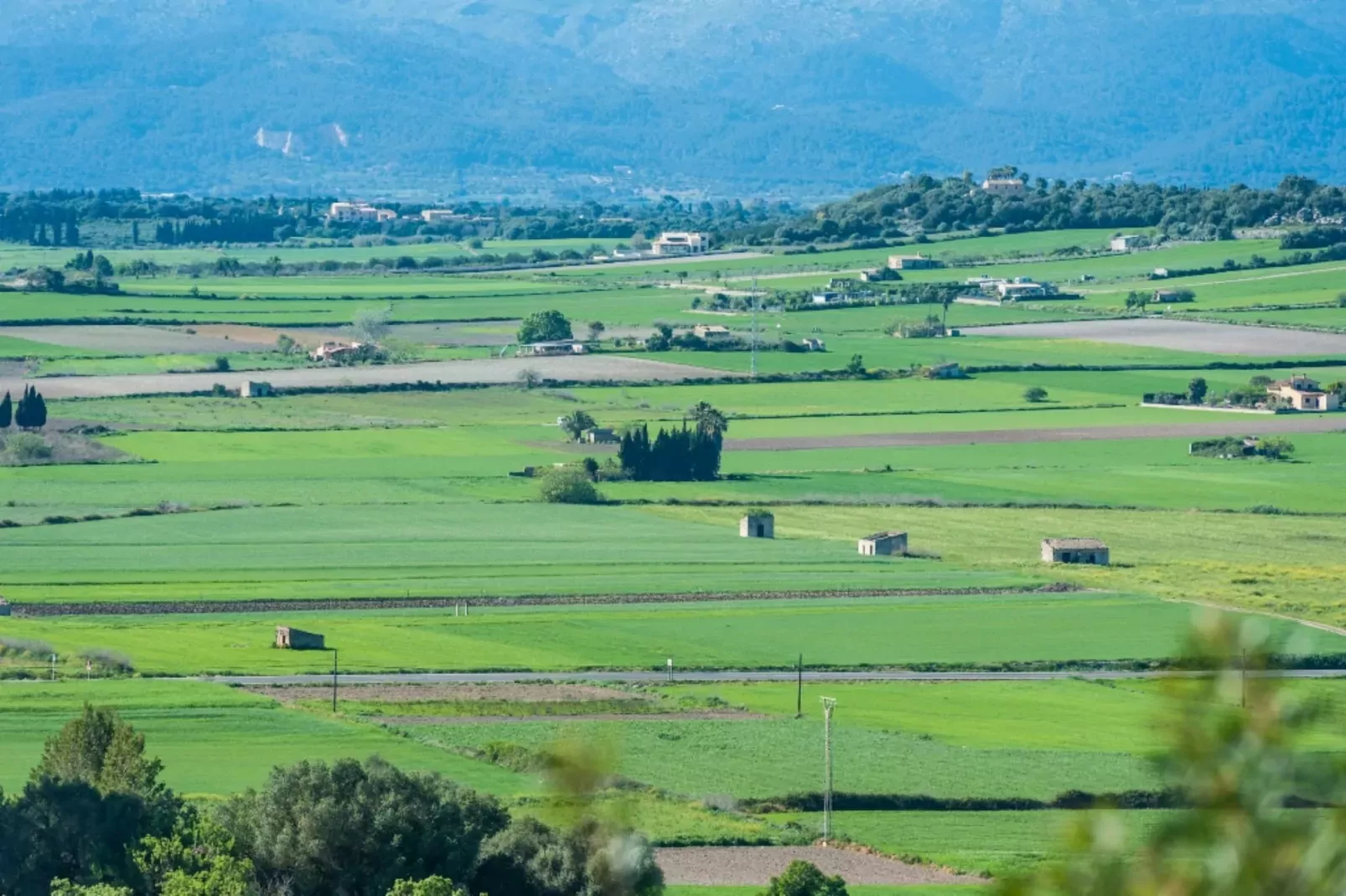 Son Morro-Gebieden zomer 5km