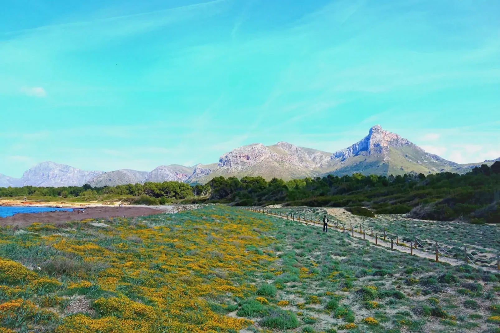 Sestanyol-Image-tags.