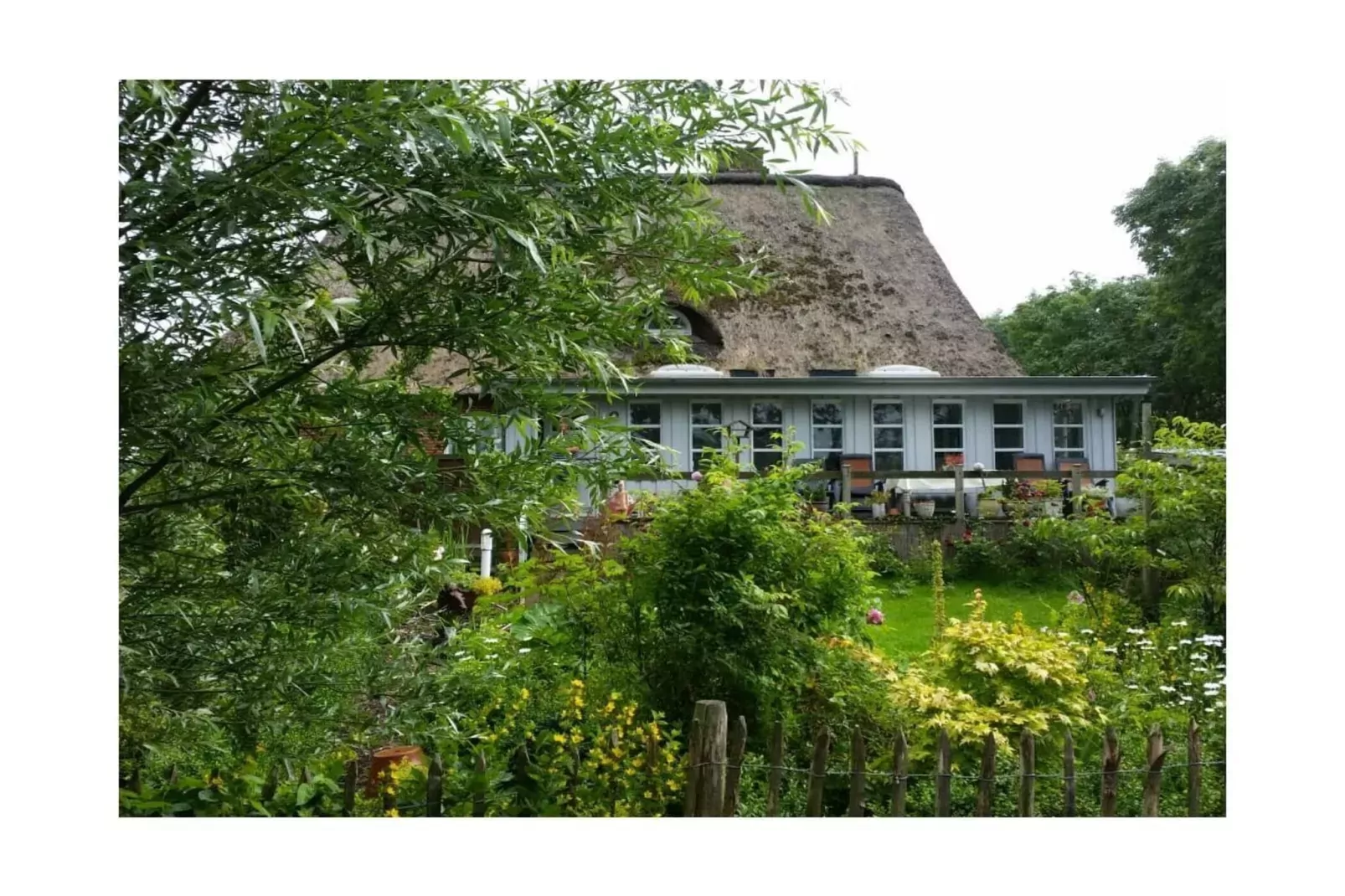 66769-Gebieden zomer 1km