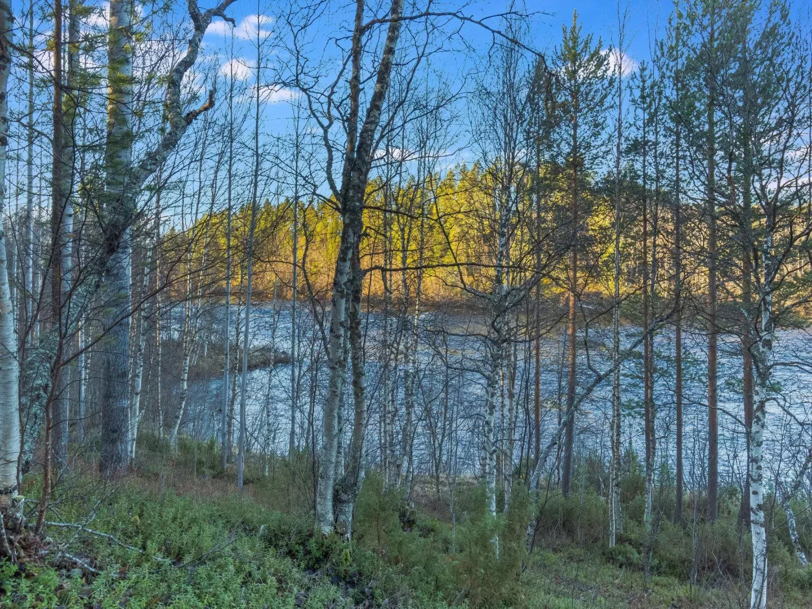 Alakoski-Buiten