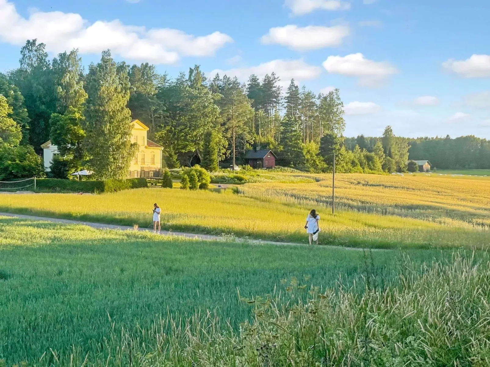 Peltosirkku-Buiten
