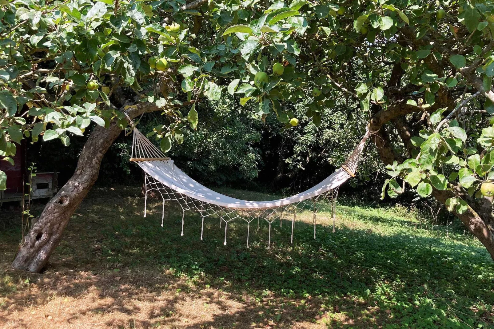 Gezellig vakantiehuis in Struer vlak bij het strand-Buitenlucht