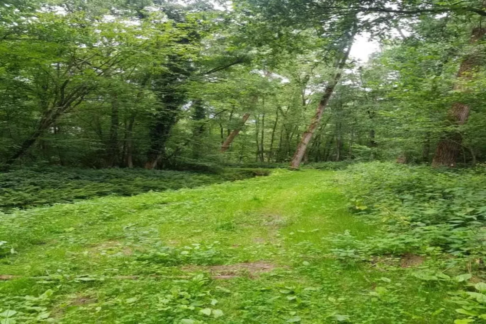 De oude stal-Gebieden zomer 20km