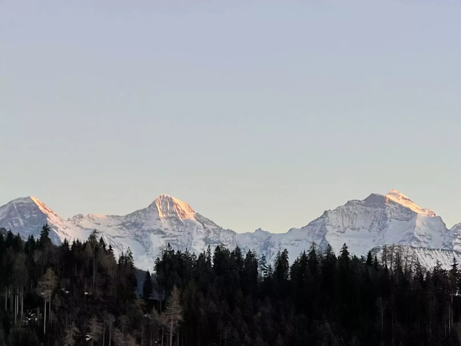 Panoramaferienwohnung Waldkircher-Buiten