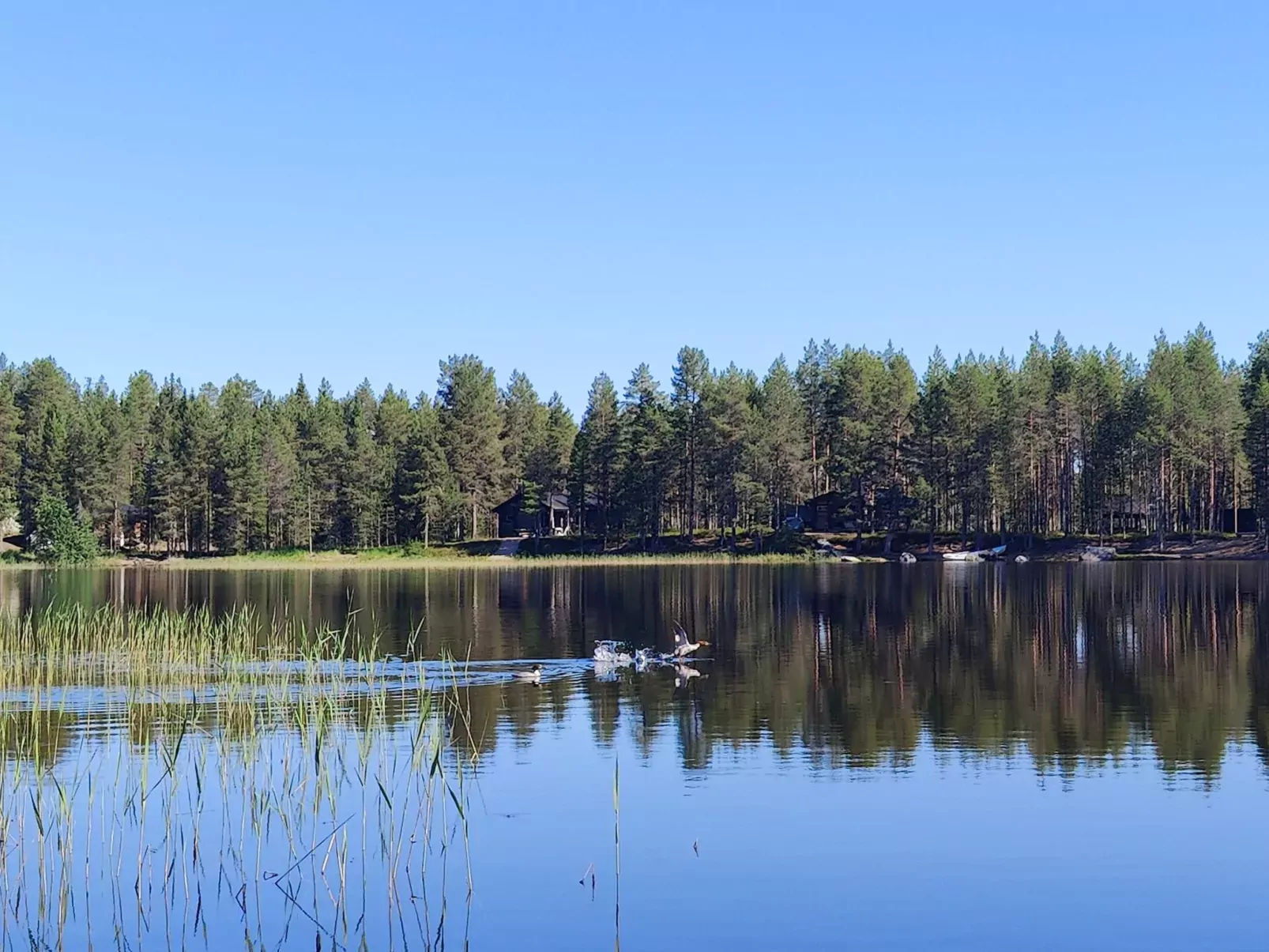 Syväniemi-Buiten