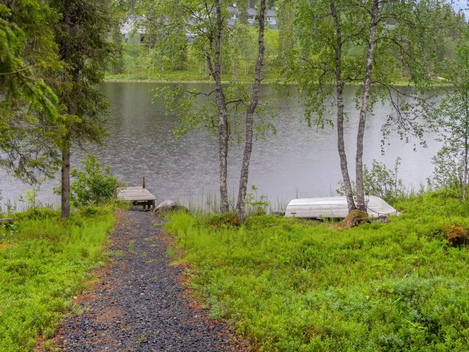 Muuttohaukka-Buiten