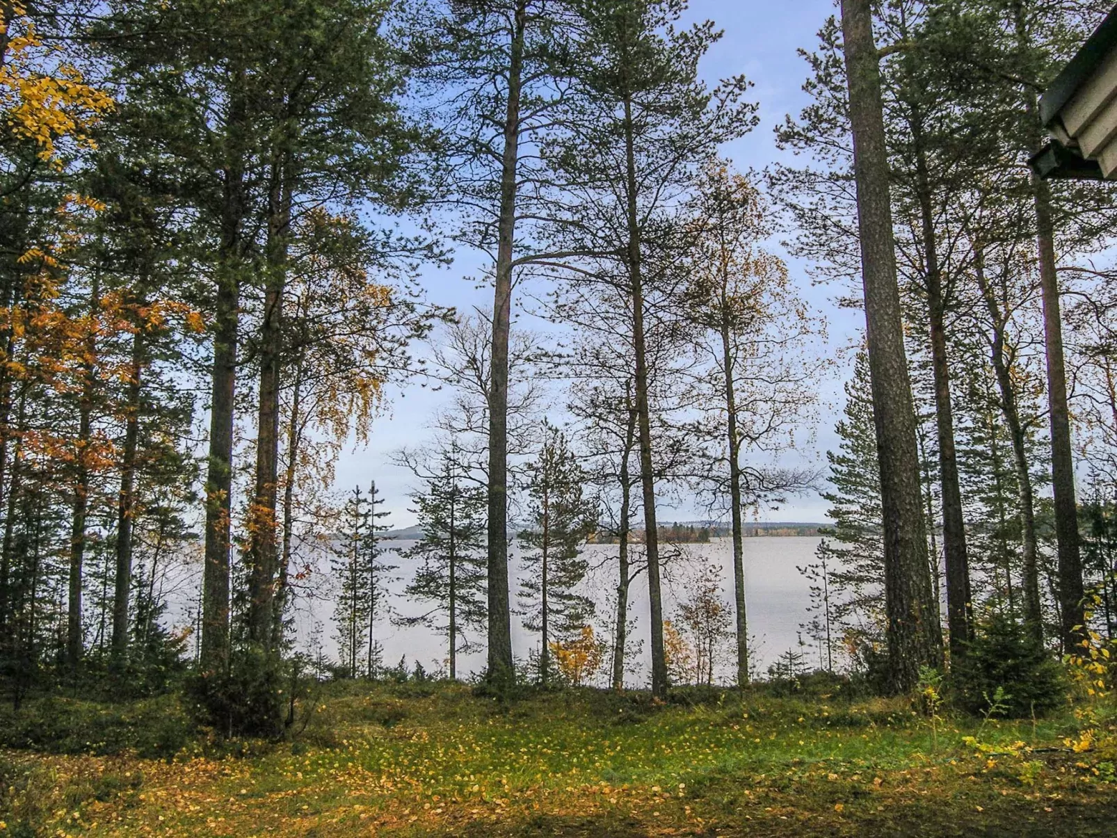 Mäntyranta-Buiten