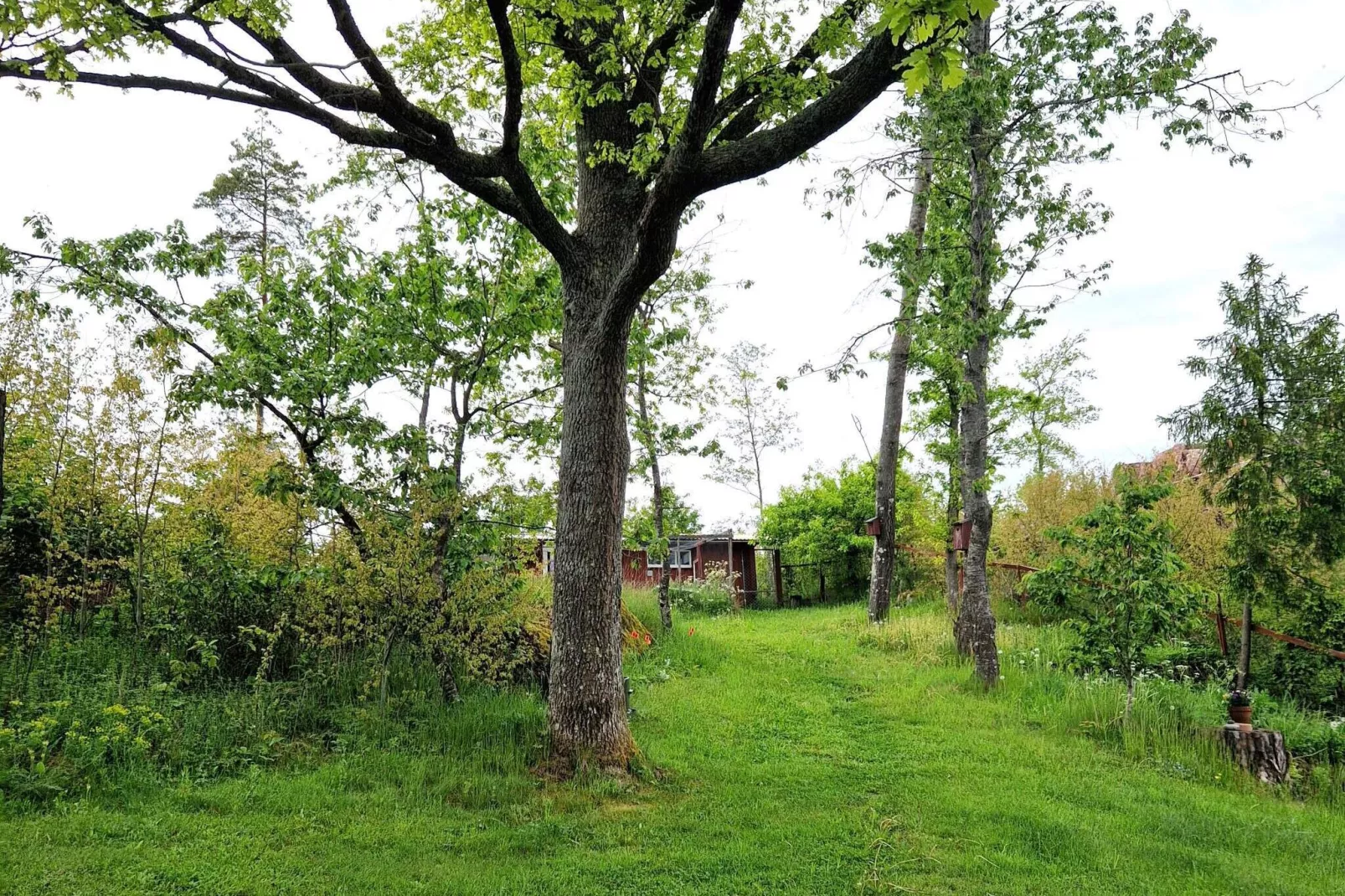 4 persoons vakantie huis in SÖDERKÖPING-Buitenlucht