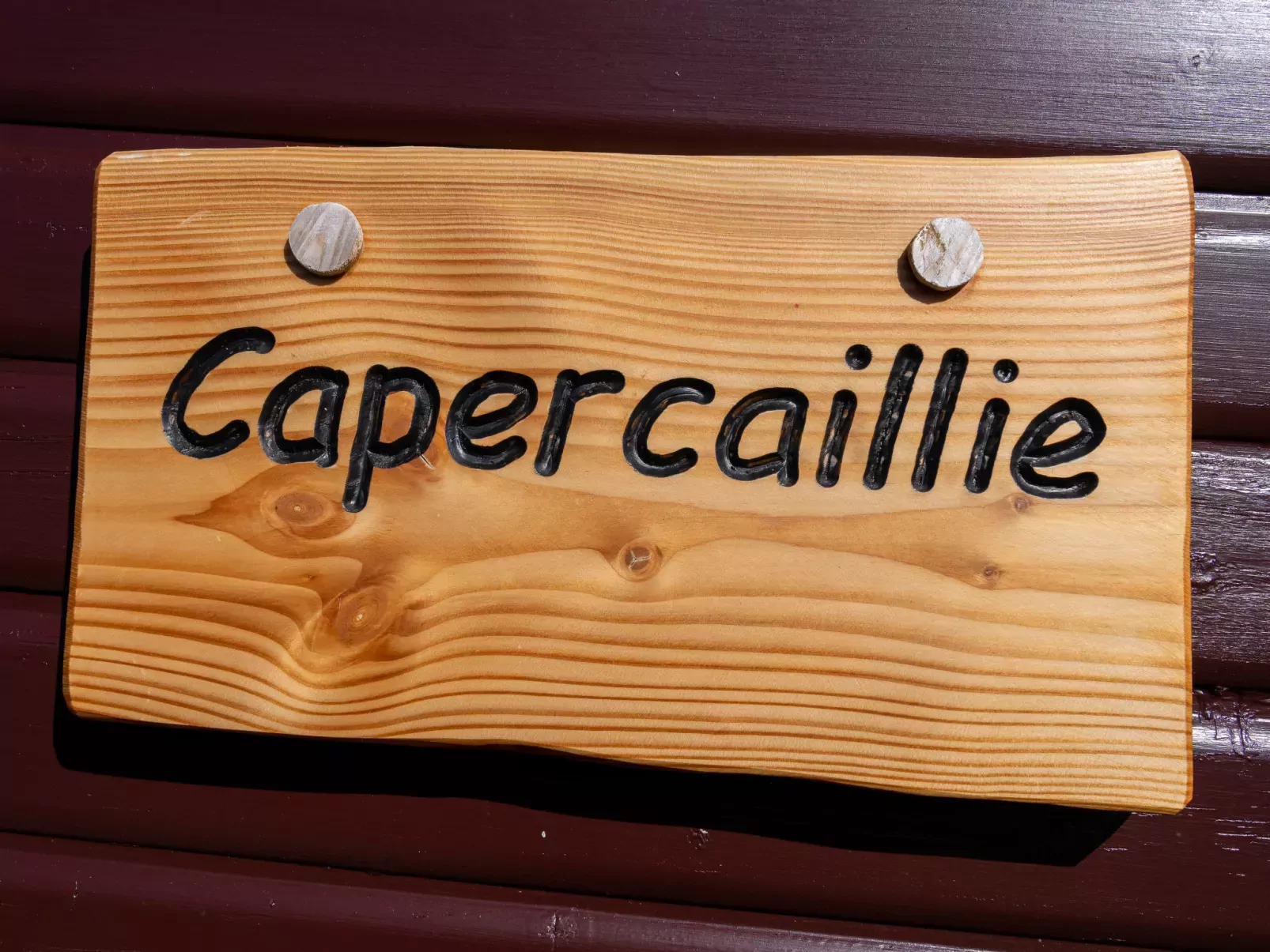 Capercaillie Lodge-Buiten