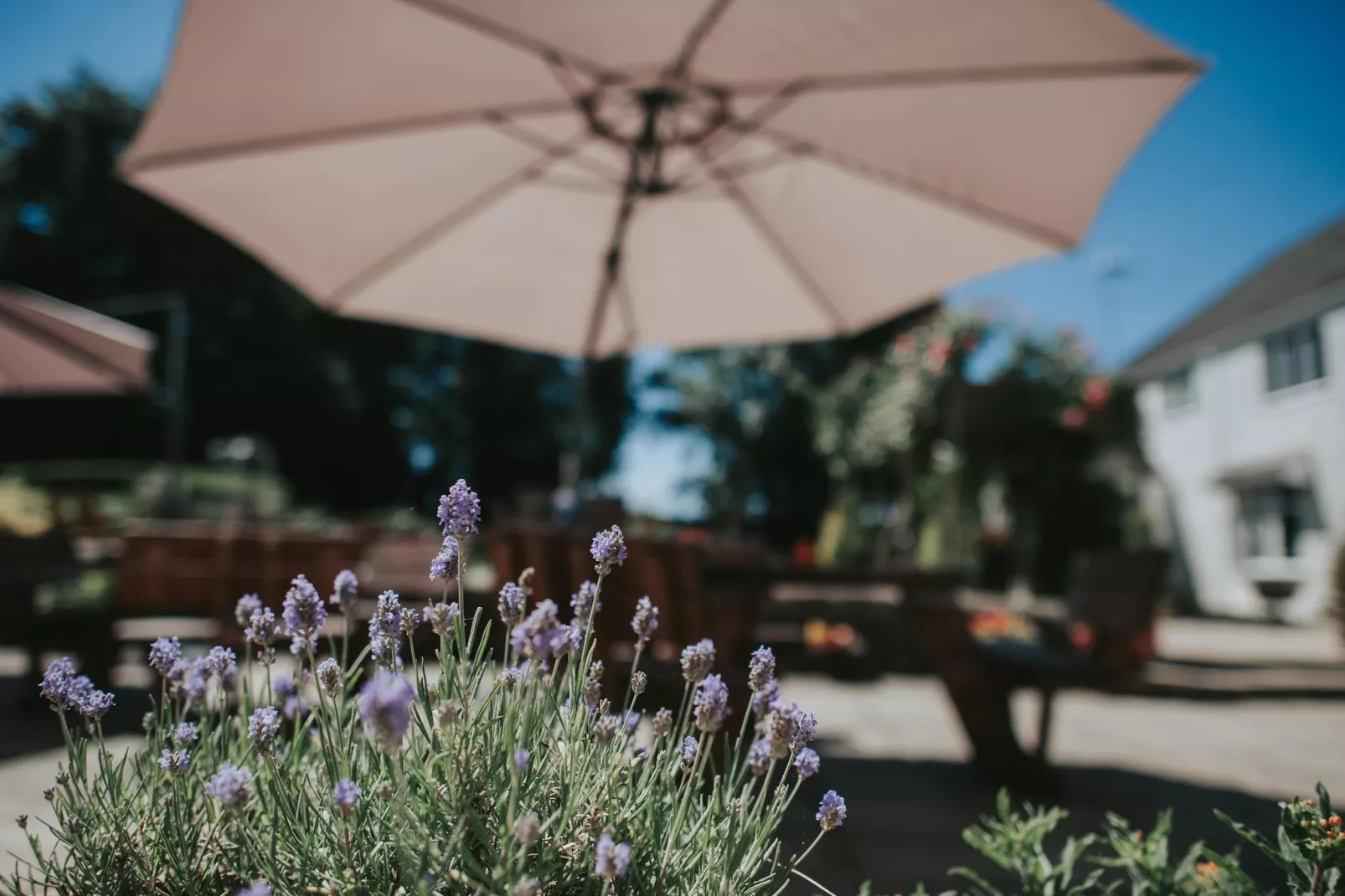 Lordleaze Hotel Sta Double-Buitenkant zomer