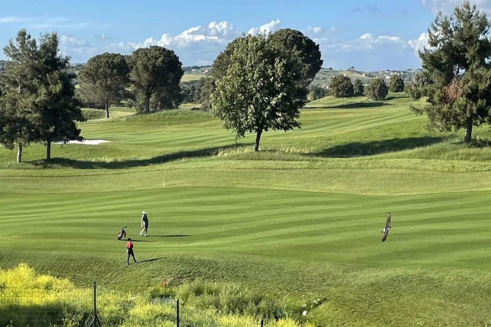 Bilocale vista giardino 105-Gebieden zomer 1km