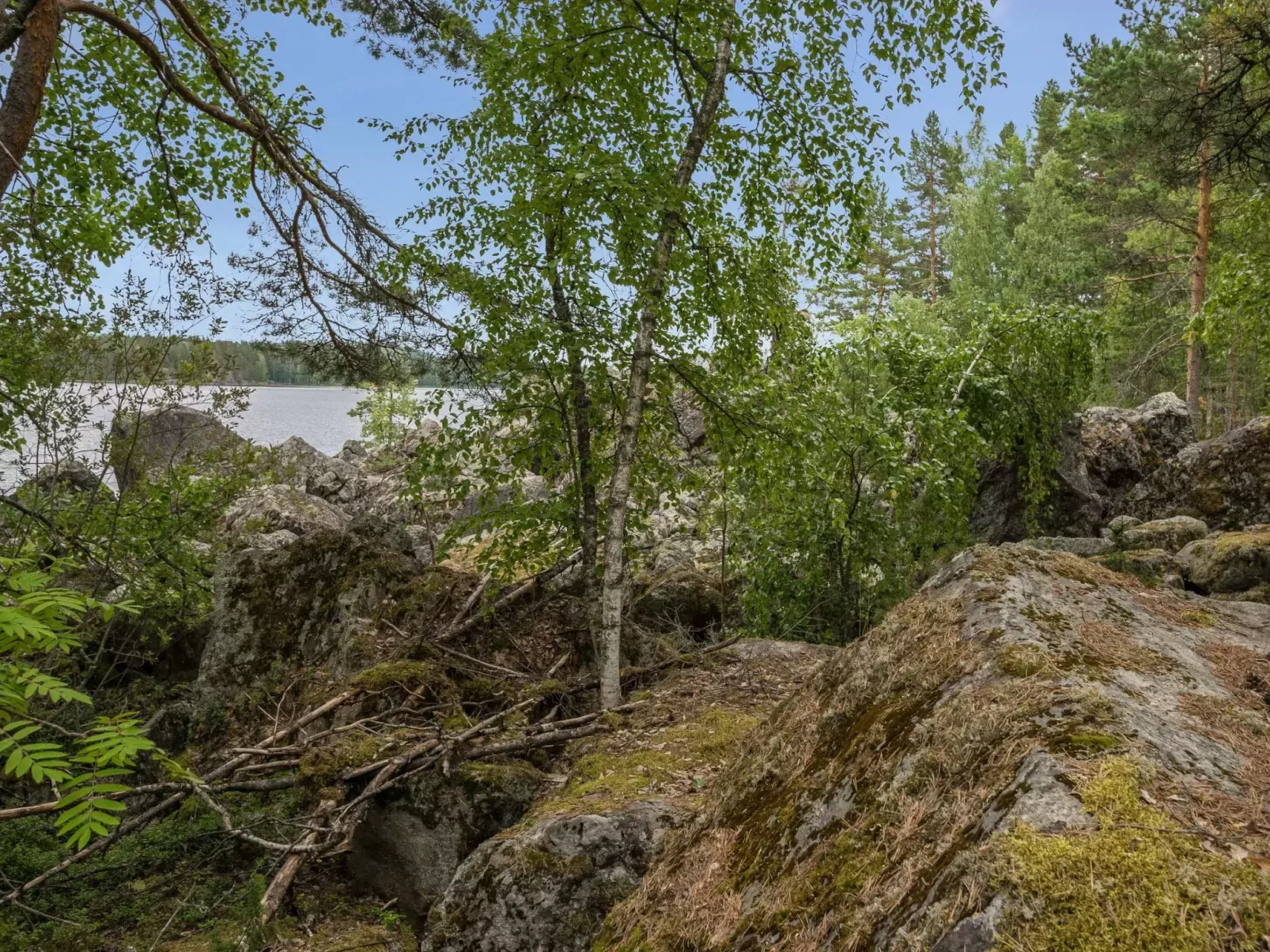 Neitlinna-Buiten
