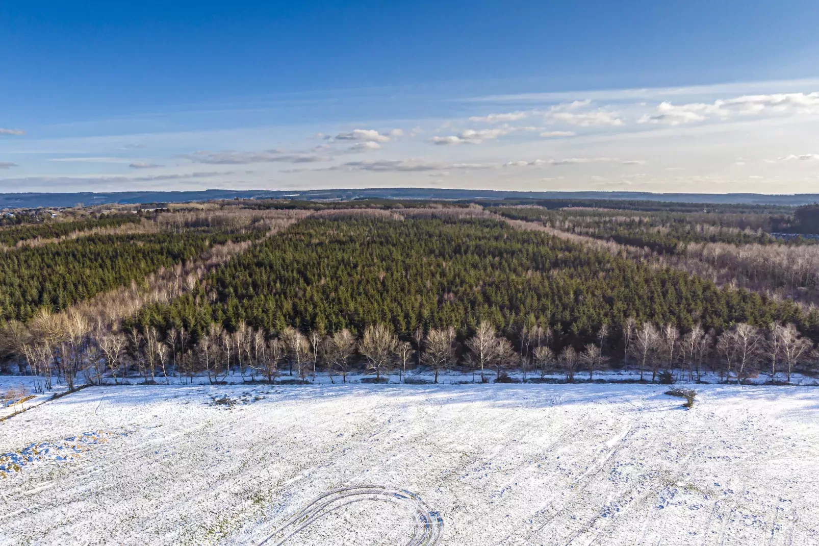 Ardennes Bleu 4 pers maximum-Uitzicht winter
