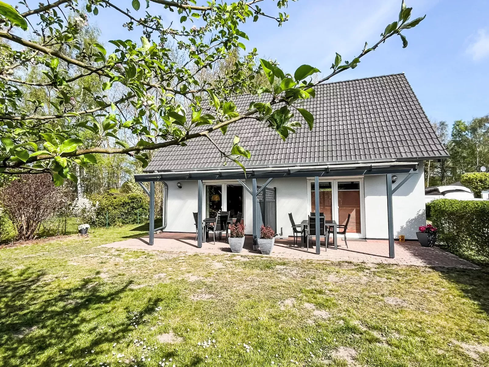 Möwennest-Buiten