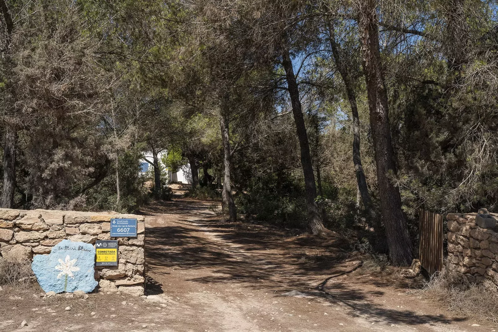 Es Lliri Blanc-Image-tags.