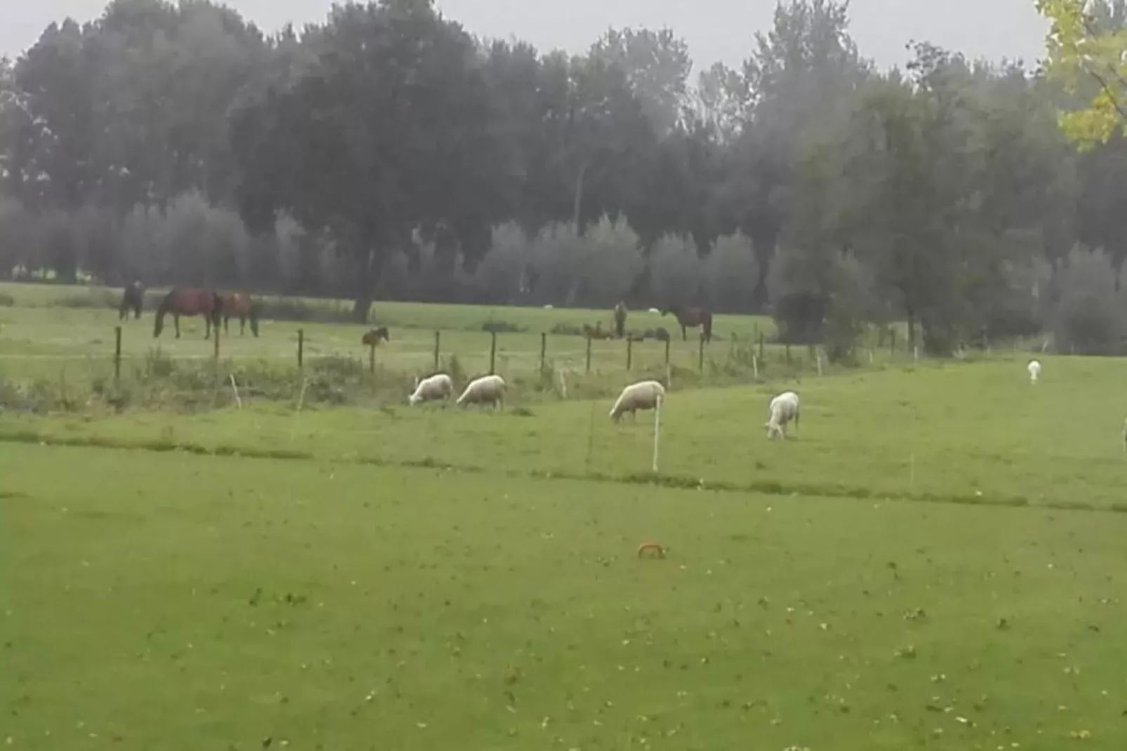 De oude stal-Gebieden zomer 20km